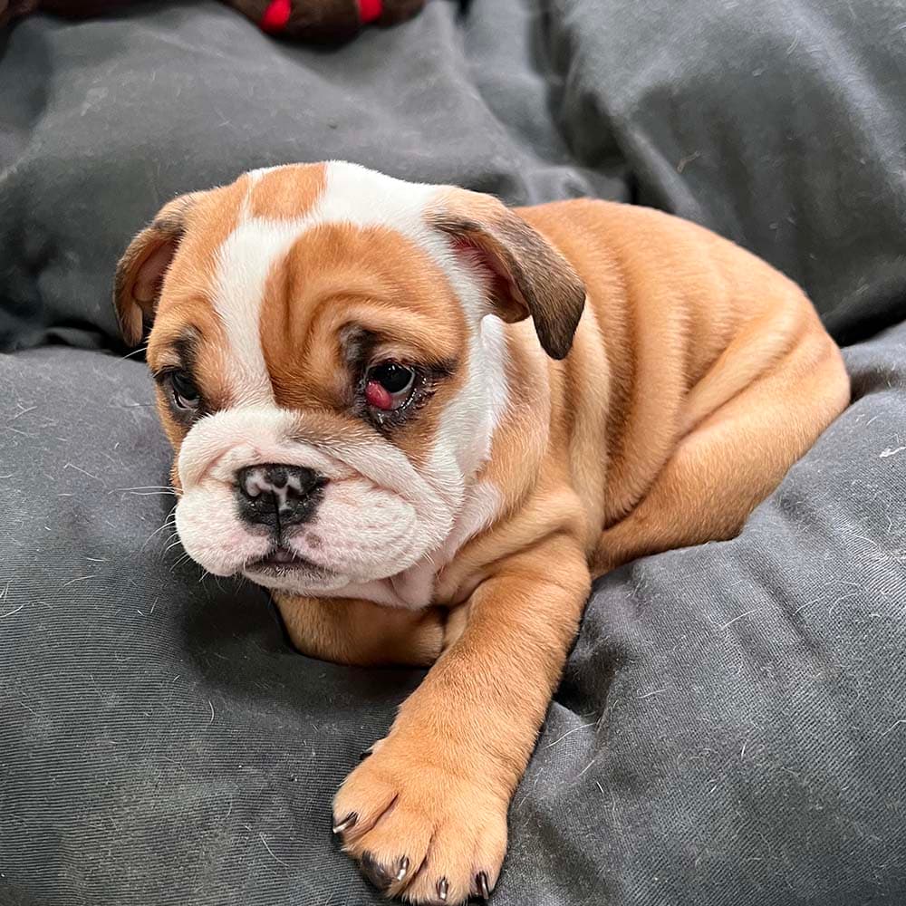 Baby Georgia in a big bed
