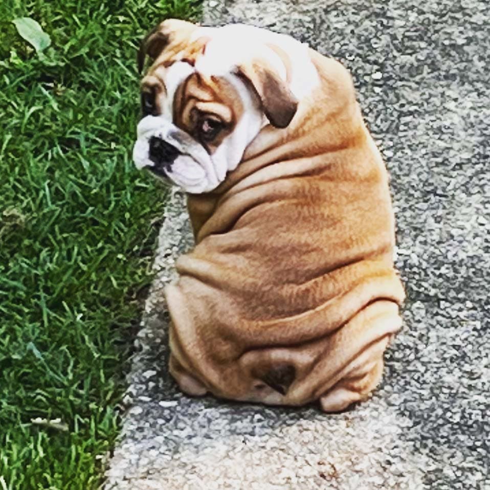 Lil Georgia with the side eye and Sass