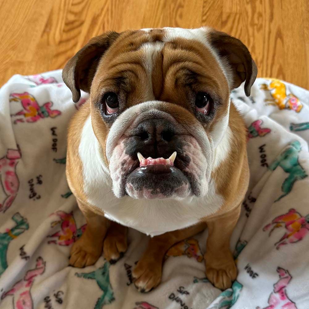 A teenage Georgia with an overbite