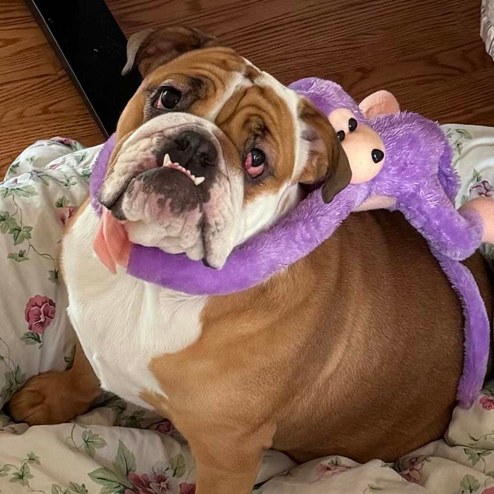 Georgia giving her friend a ride