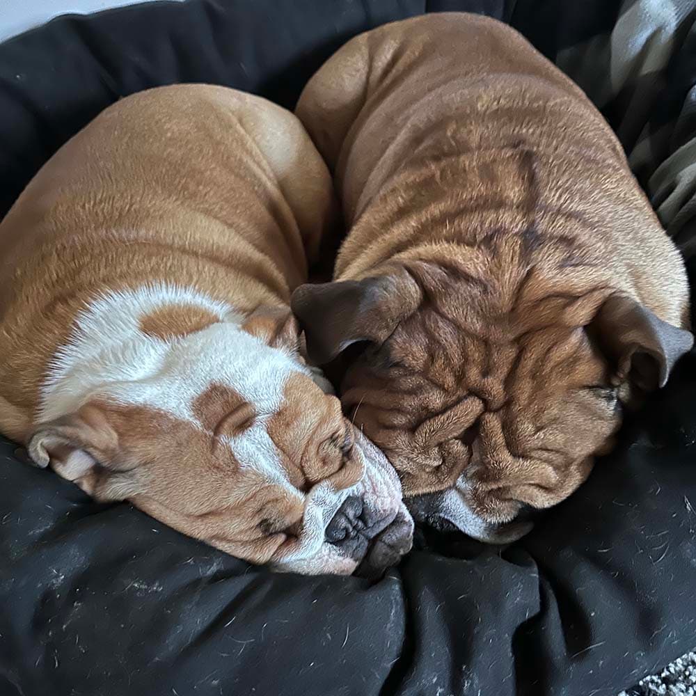 Brother sister cuddles