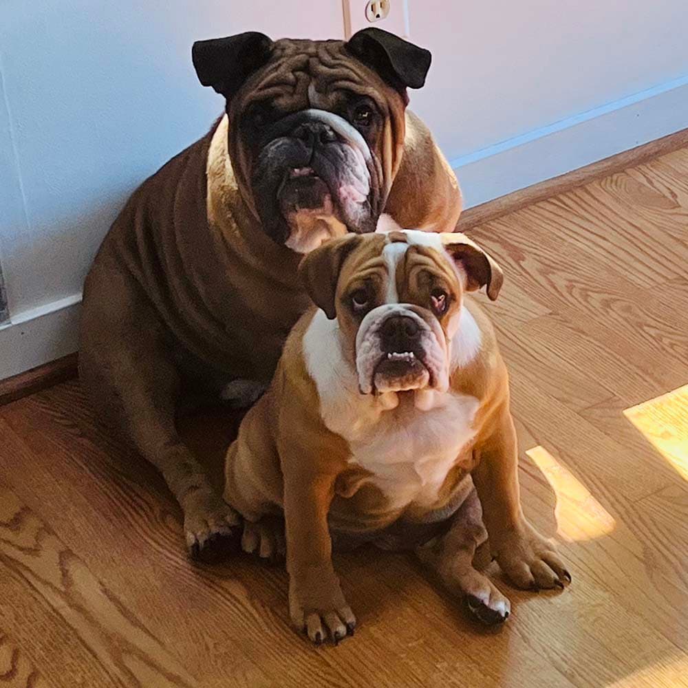 Two friends for life