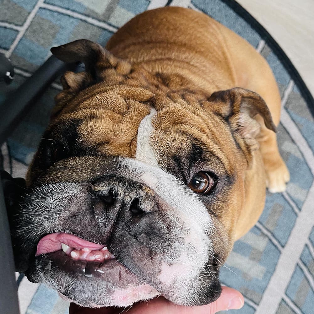 The intensity of Winston love