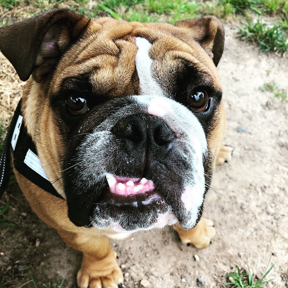Winston smirks for the camera