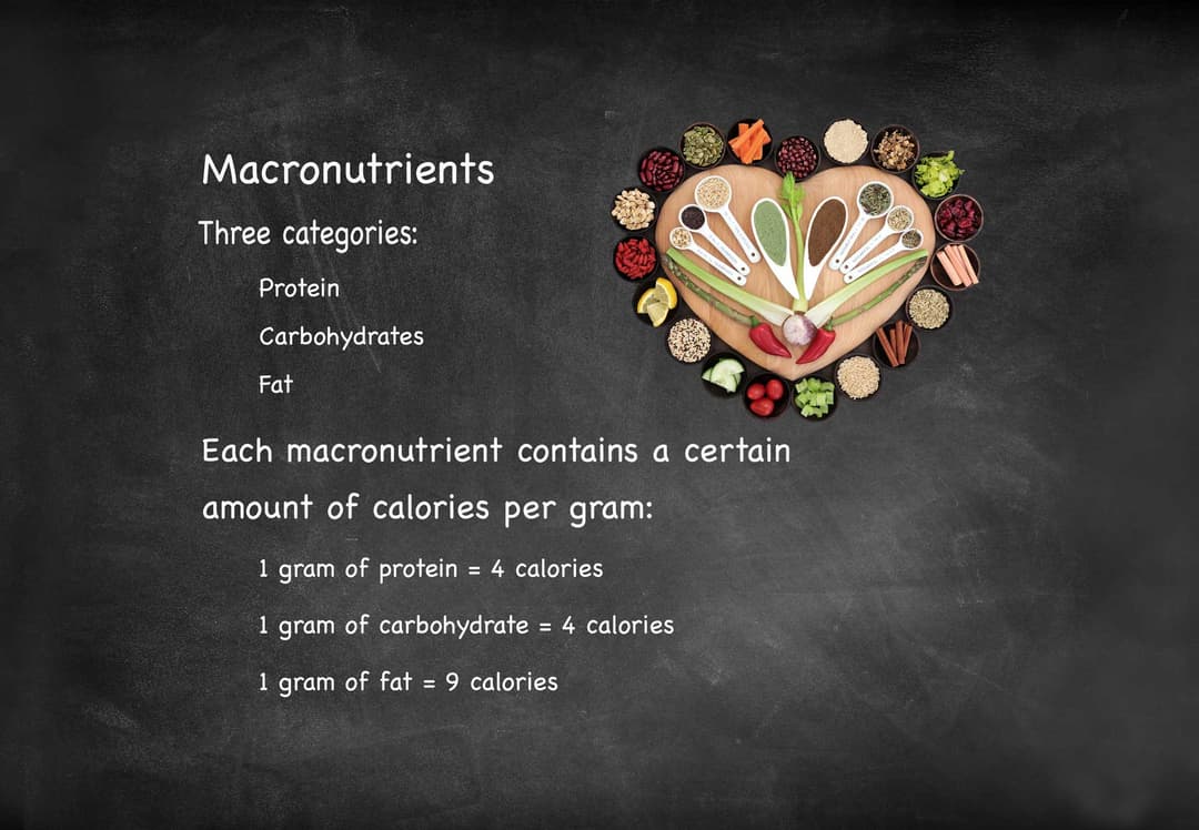 Macro calculator interface showing personalized meal recommendations