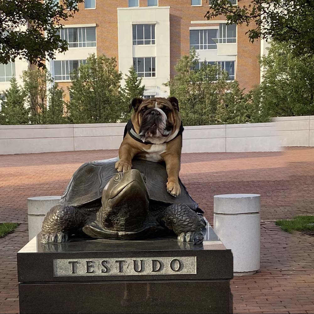 Winston takes over UMD